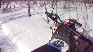 Cтрельба из карабина (сайга МК ) Firing from a carbine