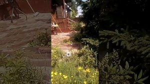 Укладка брусчатки по три цвета жёлтая красная каричневая прессованная брусчатка