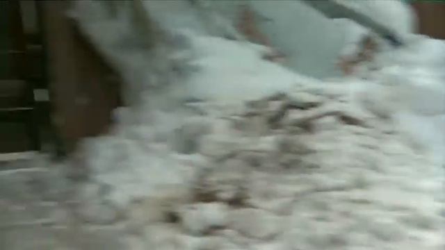 FILIGRIB KENNEL Bernese mountain dog (Home vdeo)1 смотреть онлайн