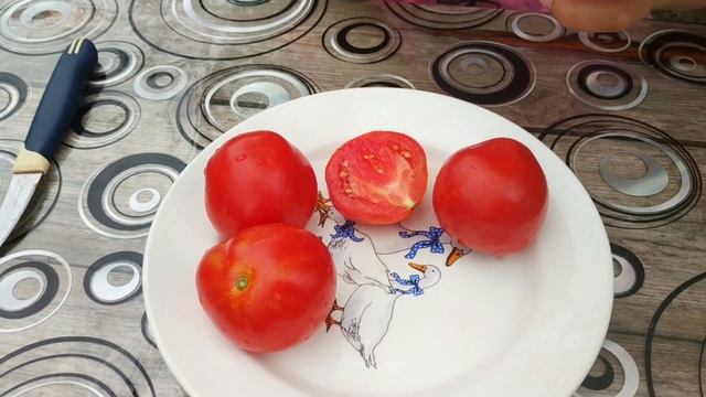 ПОМИДОРЫ 