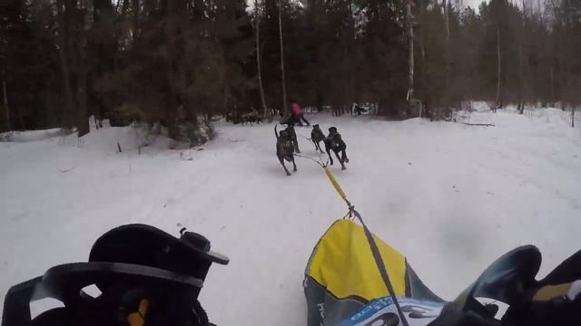 Гонка Зов Предков. Обгон на трассе смотреть онлайн