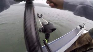 Рыбалка в Америке  //  Рыба //