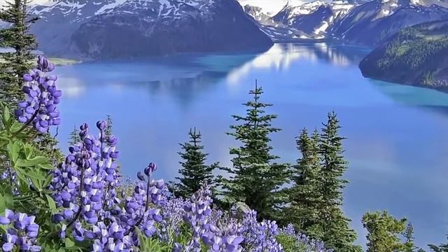 Как трепет утренней росы... смотреть онлайн