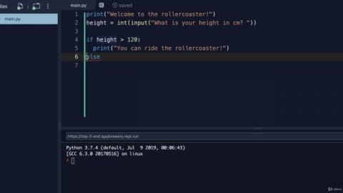 Day 3 - Control Flow and Logical Operators - 2 Control Flow with if _ else and Conditional Operators