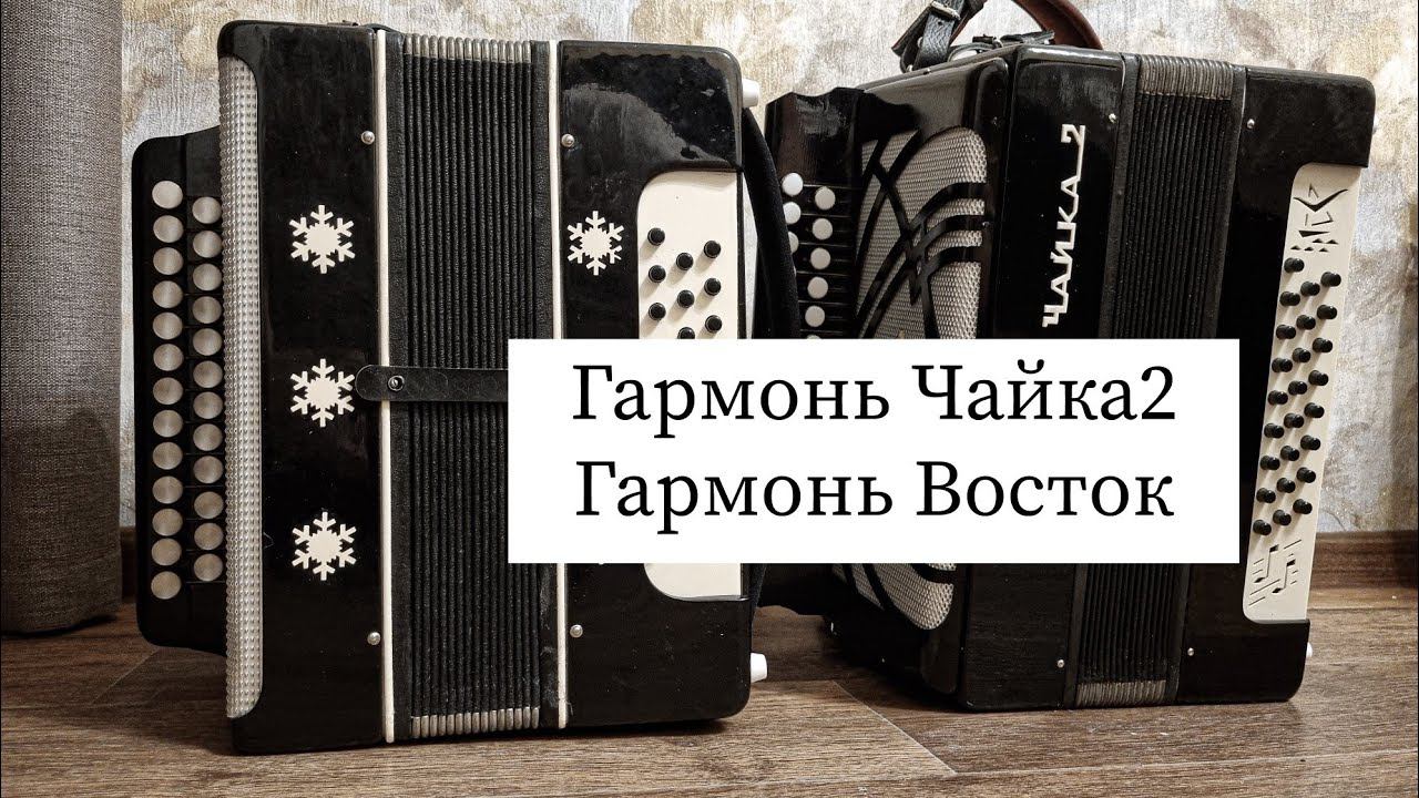 Гармонь Чайка2 и Восток. смотреть онлайн