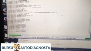 Toyota Land Cruiser Prado 150 2.7 прошиваем Алекс флешером!