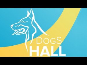 Аджилити | Квалификационные соревнования в DogS HaLL | 14.09.2019