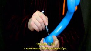 Королевская Кобра 2 шарика 1м.12сек. www.Perepelukov.ru