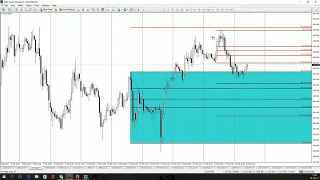 Дневной обзор валютного рынка для эффективной торговли от 20.02.2017 смотреть онлайн