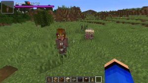 НОВЫЕ ЖИТЕЛИ ЖЕНЩИНЫ В МАЙНКРАФТ | ОБЗОР МОДА MINECRAFT Female Villagers