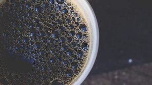 Best Coffee Beans In 2023 - Top 4 Picks