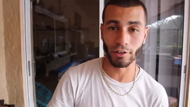 FOUND! Tons of baby mice! смотреть онлайн