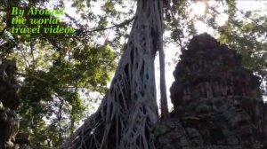 Ta prohm temple / Ta prohm temple tree Cambodia travel.