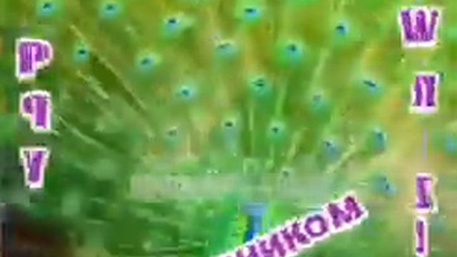 С Праздником Навруз, всех братьев и сестёр Мусульман!??♀️ смотреть онлайн