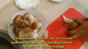 замораживаем грибы на зиму