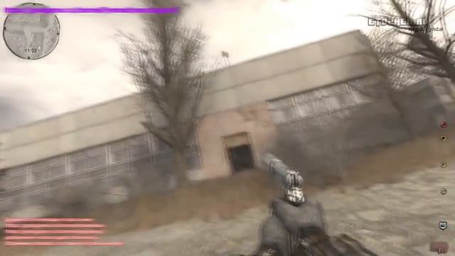 Мэддисон играет в Сталкер мизери