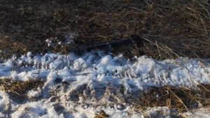 Экспедиционный трофи-рейд "Затерянная Парма 2021" Киров.