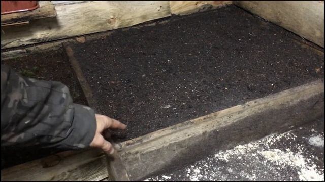 Как подготовить грунт для зимнего черенкования хвойных растений зимой? Хвойный опад смотреть онлайн