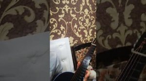 Отзыв 6ти струнной гитары АККОРД