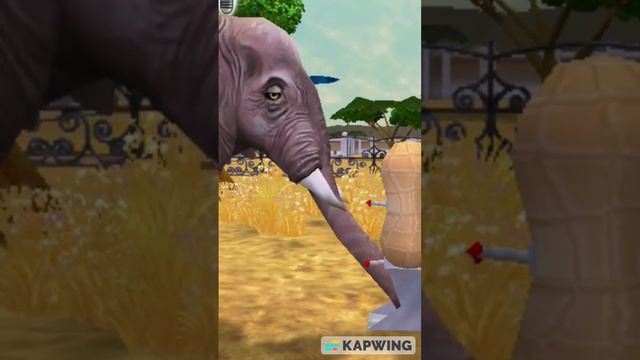 Zoo Tycoon 2 African Bush Elephant Using Peanut Dispenser