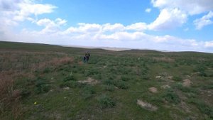 Черепахи. Малай сары. Где живут черепахи?