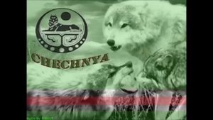 Нохчи вуй,кричат из зала