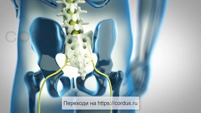 Просто и эффективно устраняем боли в спине, грыжи, протрузи, остеохондроз