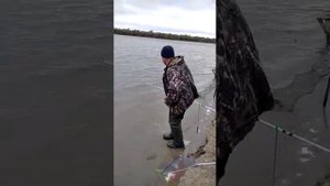 Осень 2022 год. Астраханская область.Харабали.