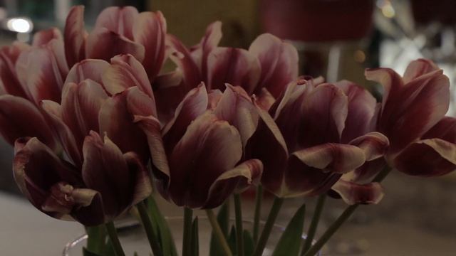 Рубрика "Уроки красоты" - Релакс Массаж смотреть онлайн