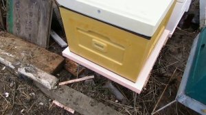 теплый улей для весеннего развития пчел - ульи разных производителей, сравниваю в Подмосковье