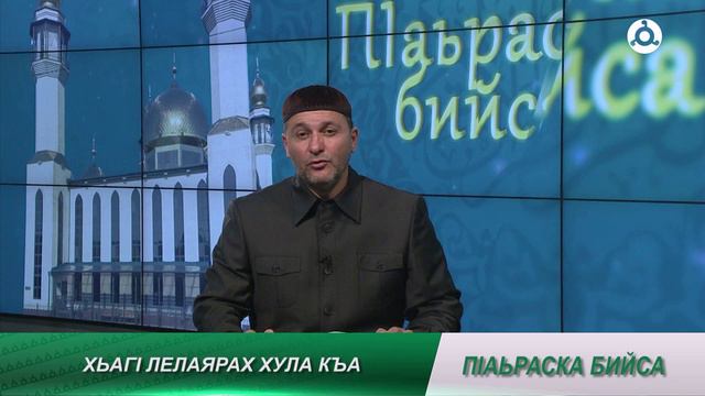 П1аьраска бийса. Хьаг1 лелаярах хула къа. 6.06.2024 г.