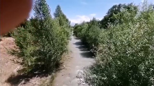 Севка Ад старая песня,на новый лад.Мыкля нервничает.Как бабка травит брУльянтового!?