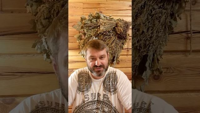 Урок 17. Продолжаем говорить об индивидуальности воздействия в Бане смотреть онлайн