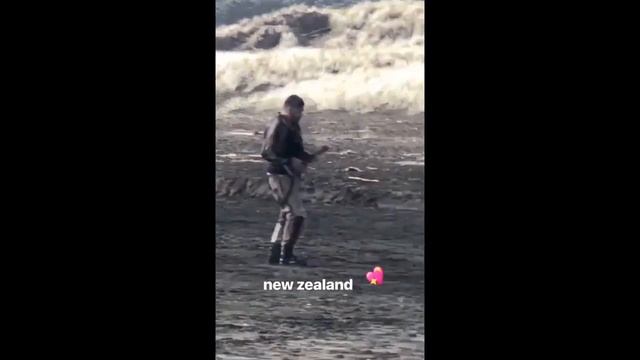 Что происходит в Новой Зеландии под Укулеле???))) смотреть онлайн