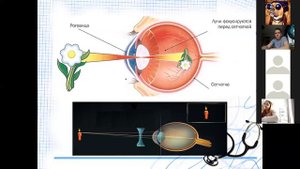 Биология 8 класс  Заболевание зрительного анализатора 06 04 2020