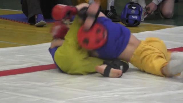 Ливитин Владимир фри-файт