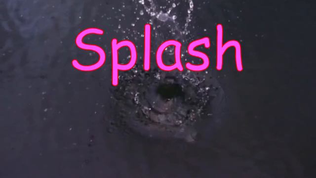 The SH Sound | Digraph Phonics for kids