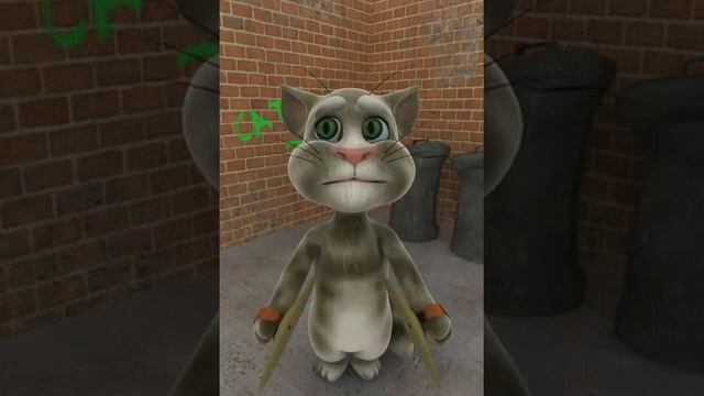 Talking Tom