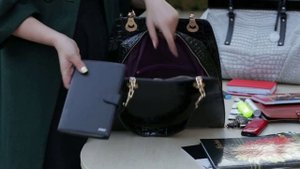 Сумка саквояж женская B1