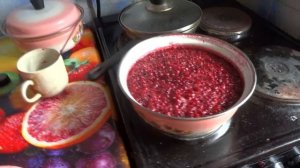 101   способ  сохранения  брусники  на  зиму