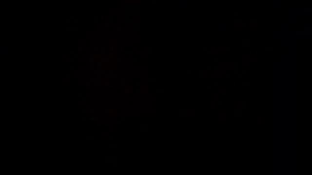 Правильное кормление кошки смотреть онлайн