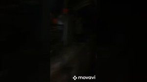 Замена сальника и масла в коробке Пежо 307 1.6 бензин