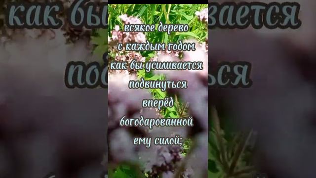 #добрые #советы #дня#прав.#Иоанн#Кронштадтский