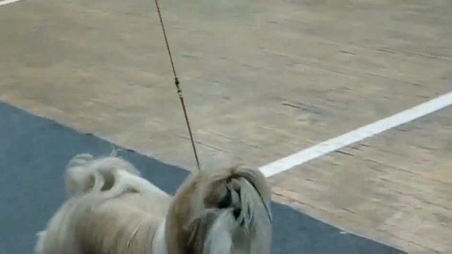 11.12.2022 Мурманск , Россия, NDS, эксперт Елена Белкина, Россия.Оливия СКАЗКА ИМАНДРЫ смотреть онлайн