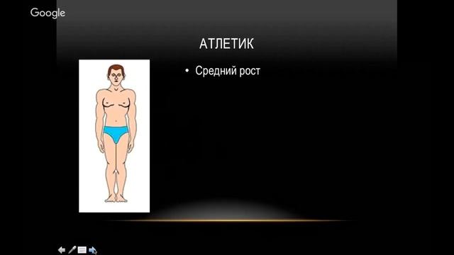 Типы телосложения и их характеристики.
