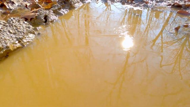 GoPro Hero 8 Black NOW 4K 60fps WITH Linear AND HyperSmooth 2.0 смотреть онлайн