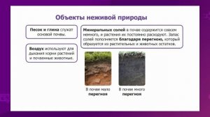 География. 7 класс. Почва, их состав и структура /20.01.2021/