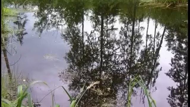 Дорогами Ермака ч.2 смотреть онлайн