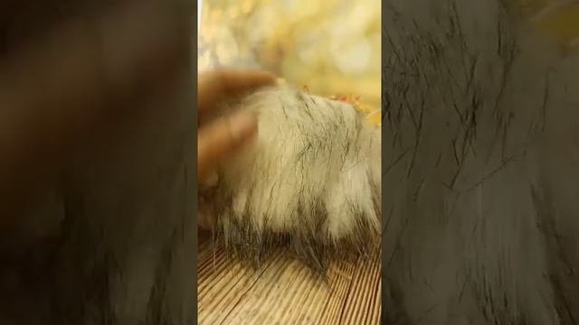 Паучок в смешанной технике смотреть онлайн