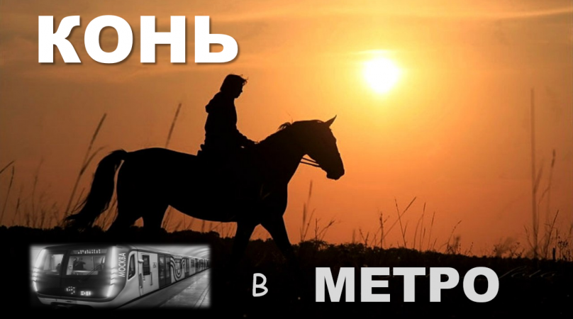 ПОЕМ в МЕТРО «Выйду ночью в поле с конем…»/комп. И. Матвиенко /слова А. Шаганов/исп. Народ #shorts